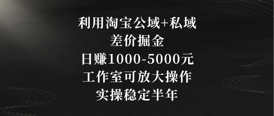 利用淘宝公域+私域差价掘金，日赚1000-5000元，工作室可放大操作，实操…-逍遥资源网