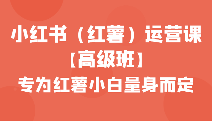 小红书（红薯）运营课【高级班】，专为红薯小白量身而定（42节课）-逍遥资源网