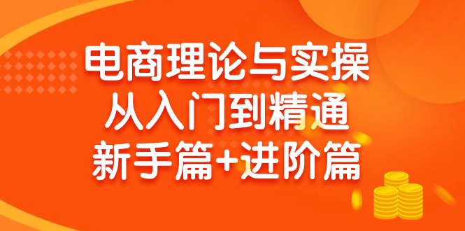 电商理论与实操从入门到精通 新手篇+进阶篇-逍遥资源网