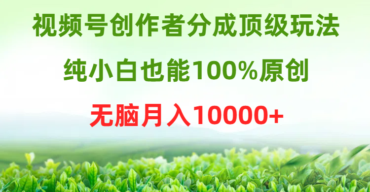 视频号创作者分成顶级玩法，纯小白也能100%原创，无脑月入10000+-逍遥资源网