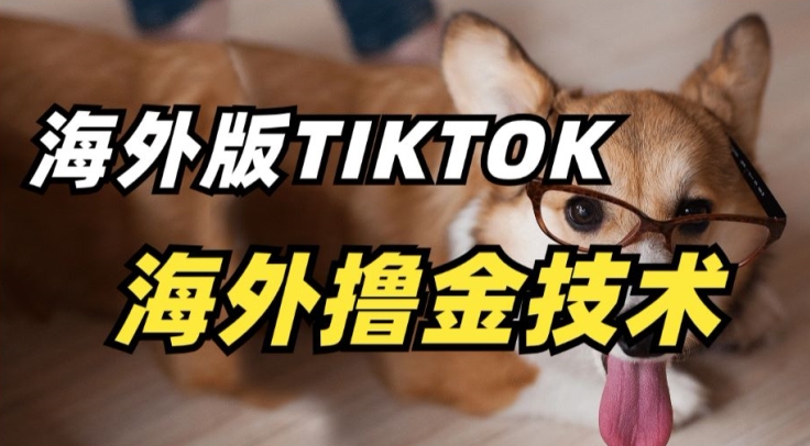 抖音海外版tiktok撸金技术，这个风口行业，赚钱真的不难-逍遥资源网