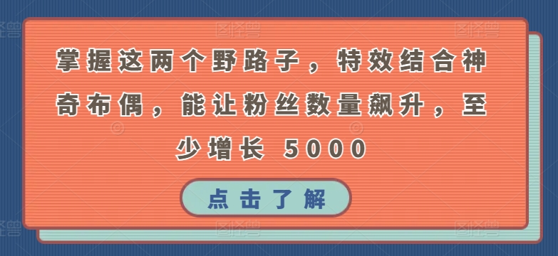 掌握这两个野路子，特效结合神奇布偶，能让粉丝数量飙升，至少增长 5000-逍遥资源网