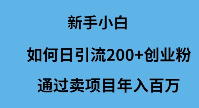 新手小白如何日引流200+创业粉通过卖项目年入百万-逍遥资源网