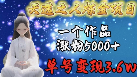 天选之人炼金项目，一个作品涨粉5000+，单号变现3.6w-逍遥资源网