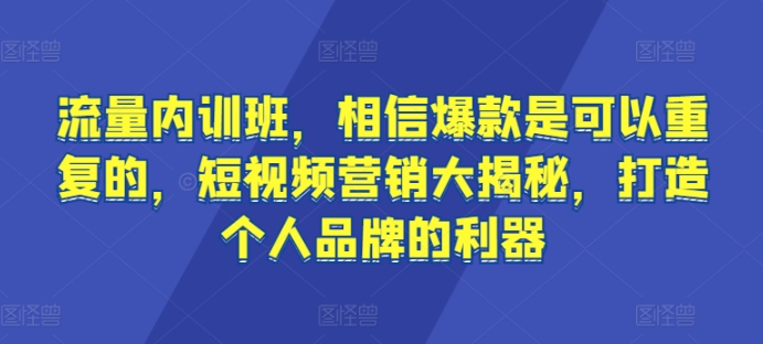 流量内训班，相信爆款是可以重复的，短视频营销大揭秘，打造个人品牌的利器-逍遥资源网