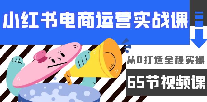 小红书电商运营实战课，​从0打造全程实操（65节视频课）-逍遥资源网