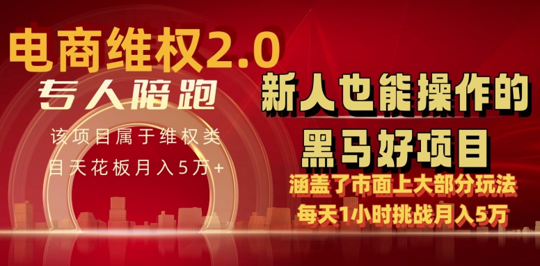 电商维权 4.0 如何做到月入 5 万+每天 1 小时新人也能快速上手【仅揭秘】-逍遥资源网