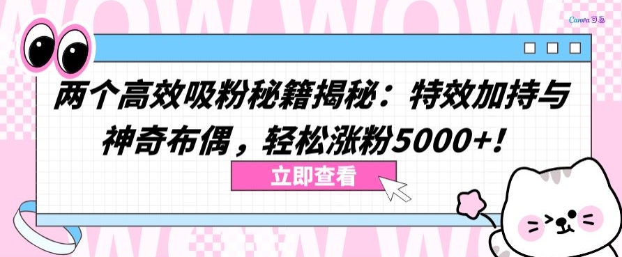 两个高效吸粉秘籍揭秘：特效加持与神奇布偶，轻松涨粉5000+-逍遥资源网