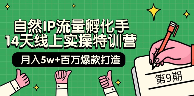 自然IP流量孵化手 14天线上实操特训营【第9期】月入5w+百万爆款打造 (74节)-逍遥资源网