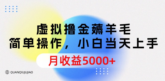 虚拟撸金薅羊毛，简单操作，小白当天上手，月收益5000+-逍遥资源网